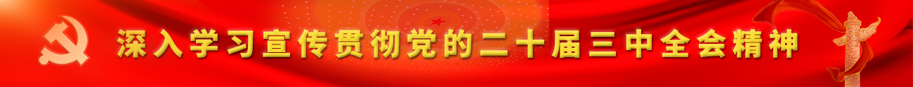 深入学习宣传贯彻党的二十届三中全会精神